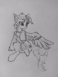 Size: 2296x3056 | Tagged: safe, artist:hornmlp, imported from derpibooru, pegasus, pony, chest fluff, equal cutie mark, solo, traditional art