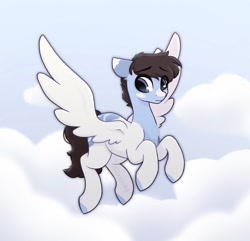 Size: 1711x1651 | Tagged: safe, artist:_alixxie_, imported from derpibooru, oc, pegasus, pony, male, solo, stallion