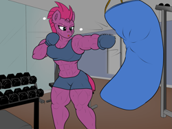 Size: 1605x1203 | Tagged: safe, artist:astrum, artist:calm wind, artist:matchstickman, edit, imported from derpibooru, tempest shadow, anthro, unicorn, 1000 years in photoshop, abs, boxing, boxing gloves, clothes, gym, gym shorts, muscles, punch, punching bag, sports, sports bra, sweat, temple shadow, training, workout, workout outfit