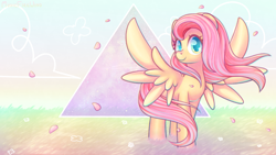 Size: 1920x1080 | Tagged: safe, artist:musicfirewind, imported from derpibooru, fluttershy, pegasus, pony, cute, female, flower, grass, head turn, looking at you, mare, petals, serenity, shyabetes, smiling, solo, spread wings, standing, wallpaper, windswept mane, wings