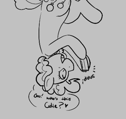 Size: 359x339 | Tagged: safe, pinkie pie, earth pony, pony, aggie.io, camera, female, mare, monochrome, open mouth, simple background, smiling, talking, upside down