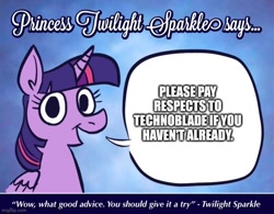 Size: 640x499 | Tagged: safe, edit, imported from derpibooru, twilight sparkle, alicorn, #technobladeneverdies, exploitable meme, meme, solo, twilight sparkle (alicorn), twilight's psa mouthpiece meme