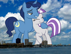 Size: 2048x1536 | Tagged: safe, artist:cloudy glow, artist:thegiantponyfan, imported from derpibooru, night light, twilight velvet, pony, unicorn, eyes closed, female, florida, giant pony, giant unicorn, giantess, highrise ponies, husband and wife, irl, lidded eyes, macro, male, mare, mega giant, nightvelvet, photo, ponies in real life, raised hoof, shipping, stallion, story included, straight, west palm beach