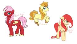 Size: 2359x1344 | Tagged: safe, artist:alicemaple, edit, imported from derpibooru, oc, oc only, oc:airlie red, oc:ambrosia (alicemaple), oc:binet rouge, earth pony, pegasus, pony, colored wings, colored wingtips, cropped, female, freckles, mare, offspring, parent:big macintosh, parent:fluttershy, parents:fluttermac, siblings, simple background, sisters, smiling, transparent background, trio, unshorn fetlocks, wings