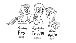 Size: 376x212 | Tagged: safe, artist:truthormare, oc, oc:proline, oc:triptophan, oc:valine, earth pony, pony, chemistry, codon, female, filly, mare, molecule, monochrome, ponified, structural formula, trio