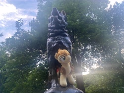 Size: 4032x3024 | Tagged: safe, artist:little-broy-peep, imported from derpibooru, braeburn, earth pony, pony, balto, balto statue, central park, clothes, irl, missing accessory, new york city, photo, plushie, sunset, tree, vest