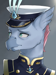 Size: 1280x1723 | Tagged: safe, artist:kaiser-sauce, imported from derpibooru, oc, oc only, oc:skybolt spear, hippogriff, equestria at war mod, admiral, bust, male, portrait, solo