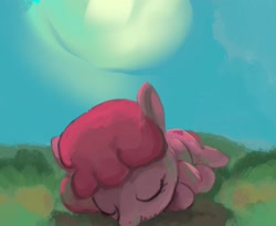 Size: 2453x2009 | Tagged: safe, artist:mandumustbasukanemen, imported from derpibooru, berry punch, berryshine, earth pony, pony, cute, female, grass, grass field, lying on the ground, mare, sleeping, solo