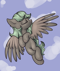 Size: 2200x2600 | Tagged: safe, artist:dumbwoofer, imported from derpibooru, oc, oc:forest air, pegasus, cloud, eyes closed, female, filly, flying, foal, sky, sky background, solo, teenager, turned head