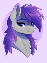 Size: 1145x1542 | Tagged: safe, artist:greenstorm64, imported from derpibooru, oc, oc only, oc:glitter stone, earth pony, pony, artfight, bust, female, gray coat, long hair, mare, portrait, purple eyes, purple hair, purple mane, simple background