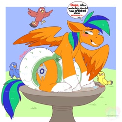 Size: 2000x2000 | Tagged: safe, artist:tenderhoofed, imported from derpibooru, oc, oc only, oc:naarkerotics, bird, pegasus, pony, annoyed, bird bath, blushing, diaper, diaper fetish, diapered, fetish, male, non-baby in diaper, poofy diaper, solo, stallion, wet diaper