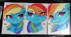 Size: 1280x664 | Tagged: safe, artist:freeedon, imported from derpibooru, part of a set, rainbow dash, pegasus, pony, bust, eye clipping through hair, solo, traditional art