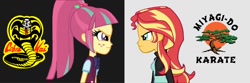 Size: 1500x500 | Tagged: safe, artist:thatradhedgehog, edit, edited screencap, imported from derpibooru, screencap, sour sweet, sunset shimmer, human, equestria girls, friendship games, cobra kai, karate kid, miyagi-do karate, stare