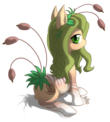 Size: 1000x1104 | Tagged: safe, artist:fidzfox, imported from derpibooru, oc, oc only, original species, plant pony, pony, cattails, female, looking at you, looking back, mare, plant, reeds, simple background, sitting, smiling, solo, transparent background