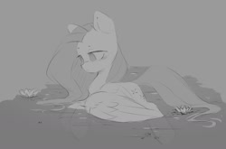 Size: 1588x1049 | Tagged: safe, artist:melodylibris, imported from derpibooru, fluttershy, pegasus, pony, female, grayscale, lidded eyes, lilypad, mare, monochrome, sketch, solo, spread wings, swimming, water, wings