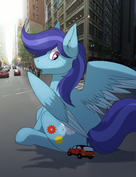 Size: 3477x4500 | Tagged: safe, artist:soniethedog, imported from derpibooru, oc, oc only, oc:sierra nightingale, pegasus, pony, car, high res, irl, macro, male, photo, ponies in real life, stallion