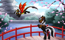 Size: 1057x648 | Tagged: safe, artist:scarlet-spectrum, imported from derpibooru, oc, oc only, dracony, dragon, hybrid, pegasus, black and white mane, bridge, butt, castle, cherry blossoms, duo, flower, flower blossom, flying, japan, plot, water