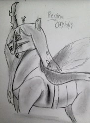 Size: 683x937 | Tagged: safe, artist:alostcarolean, imported from derpibooru, queen chrysalis, changeling, blood, fangs, grin, injured, latin, monochrome, smiling, solo, traditional art