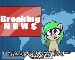 Size: 1000x800 | Tagged: safe, artist:plaguemare, imported from derpibooru, oc, oc only, breaking news, dialogue, drawthread, female, green mane, mare, news, news report, sitting, solo, subtitles, talking, trolling