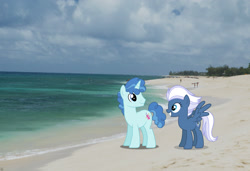 Size: 2048x1397 | Tagged: safe, artist:ambassad0r, artist:dashiesparkle, artist:mlplover94, imported from derpibooru, night glider, party favor, pegasus, pony, unicorn, beach, female, hawaii, honolulu, irl, male, mare, partyglider, photo, ponies in real life, shipping, spread wings, stallion, straight, wings