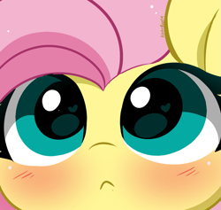 Size: 1147x1088 | Tagged: safe, artist:kittyrosie, imported from derpibooru, fluttershy, pegasus, pony, :<, blushing, close-up, cute, daaaaaaaaaaaw, extreme close-up, female, heart, heart eyes, looking at you, mare, shyabetes, solo, wingding eyes