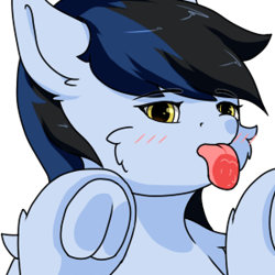 Size: 300x300 | Tagged: safe, artist:tx547, imported from derpibooru, oc, oc only, pony, against glass, blushing, cheek fluff, glass, licking, simple background, solo, tongue out, transparent background