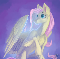 Size: 1920x1864 | Tagged: safe, artist:afialtis, artist:afialtisdragon, imported from derpibooru, fluttershy, pegasus, pony, female, mare, signature, simple background, sitting, solo