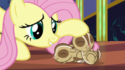 Size: 1280x720 | Tagged: safe, imported from derpibooru, screencap, fluttershy, chipmunk, pegasus, pony, every little thing she does, season 6, ^^, animal, cute, daaaaaaaaaaaw, eyes closed, female, hnnng, mare, petting, shyabetes, too cute