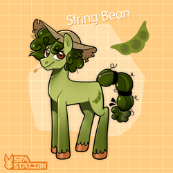 Size: 2000x2000 | Tagged: safe, artist:seasemissary, imported from derpibooru, oc, oc:string bean, earth pony, pony, hat, male, solo, stallion