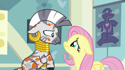 Size: 1280x720 | Tagged: safe, imported from derpibooru, screencap, fluttershy, zecora, pegasus, pony, zebra, a health of information, season 7, context is for the weak, cute, duo, duo female, female, floppy ears, frown, looking at each other, looking at someone, sad, sadorable, swamp fever, terrified