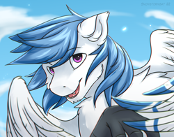 Size: 2800x2200 | Tagged: safe, artist:snowstormbat, imported from derpibooru, oc, oc only, oc:delta dart, hippogriff, bust, chest fluff, male, portrait, smiling, solo, wings