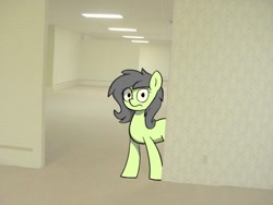 Size: 640x480 | Tagged: safe, artist:pizzahutjapan, imported from derpibooru, oc, oc:filly anon, earth pony, pony, female, filly, foal, looking at you, solo, the backrooms