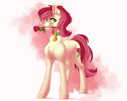 Size: 5000x4000 | Tagged: safe, artist:yaki, imported from derpibooru, roseluck, earth pony, pony, collar, commission, commissioner:doom9454, cute, flower, flower in mouth, pet tag, pony pet, rosabetes, rose, rose in mouth, rosepet, simple background, solo