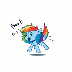 Size: 3543x3543 | Tagged: safe, artist:buvanybu, imported from derpibooru, rainbow dash, pegasus, pony, angry, barking, behaving like a dog, chibi, female, mare, open mouth, rainbow dog, simple background, solo, spread wings, white background, wings