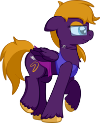 Size: 1920x2359 | Tagged: safe, alternate version, artist:alexdti, imported from derpibooru, oc, oc:purple creativity, pegasus, pony, clothes, simple background, solo, transparent background
