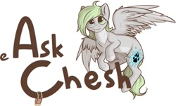 Size: 643x388 | Tagged: safe, artist:cheshchesh, imported from twibooru, oc:chesh, pony, ask, collar, female, flying, header, heterochromia, image, looking at you, mare, needs more jpeg, pale belly, simple background, solo, spread wings, tumblr, white background, wings