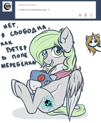 Size: 1124x1378 | Tagged: safe, artist:cheshchesh, imported from twibooru, oc:chesh, pegasus, pony, unicorn, ask, clothes, duo, female, grin, heterochromia, image, looking at you, mare, needs more jpeg, pale belly, plushie, scarf, simple background, sitting, smiling, white background