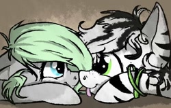 Size: 604x385 | Tagged: safe, artist:cheshchesh, imported from twibooru, oc, oc only, oc:chesh, pony, zebra, boop, brown background, female, floppy ears, image, looking at each other, male, mare, needs more jpeg, noseboop, prone, quadrupedal, simple background, tongue out