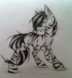 Size: 880x956 | Tagged: safe, artist:cheshchesh, imported from twibooru, oc, oc only, zebra, image, looking back, needs more jpeg, quadrupedal, raised leg, simple background, solo, traditional art, white background