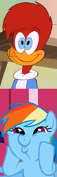 Size: 225x698 | Tagged: safe, edit, imported from derpibooru, screencap, rainbow dash, bird, pegasus, pony, applebuck season, season 1, crossover, cute, dashabetes, dashface, duckface, female, g4, mare, medical winnie pig, rainbow dash is best facemaker, reaction, silly, silly face, silly pony, smiling, so awesome, the new woody woodpecker show, winnie woodpecker, woodpecker, woody woodpecker (series)