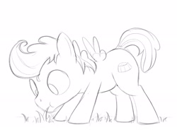 Size: 2096x1539 | Tagged: safe, artist:dtcx97, imported from derpibooru, pound cake, pegasus, pony, grass, grazing, herbivore, horses doing horse things, monochrome, solo