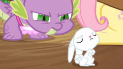 Size: 520x293 | Tagged: safe, imported from derpibooru, screencap, angel bunny, fluttershy, owlowiscious, spike, bird, dragon, owl, pegasus, pony, rabbit, just for sidekicks, season 3, animal, animated, female, gif, glare, golden oaks library, male, mare, raspberry, tongue out