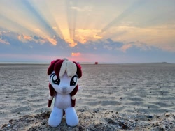 Size: 3276x2457 | Tagged: safe, artist:xeto_de, imported from ponybooru, oc, oc:vanilla cream, irl, netherlands, north sea, photo, plushie