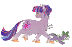 Size: 2651x1764 | Tagged: safe, artist:corvusclown, imported from derpibooru, spike, twilight sparkle, classical unicorn, dragon, pony, unicorn, alternate design, alternate hairstyle, cloven hooves, duo, female, fluffy, freckles, glasses, leonine tail, male, mare, signature, simple background, unicorn twilight, unshorn fetlocks, white background, winged spike, wings