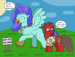 Size: 3140x2355 | Tagged: safe, artist:supahdonarudo, imported from derpibooru, oc, oc only, oc:ironyoshi, oc:sea lilly, classical hippogriff, hippogriff, unicorn, atg 2022, camera, clothes, cloud, dialogue, grass, jewelry, necklace, newbie artist training grounds, pure unfiltered evil, shirt, sign, speech bubble, sun, text