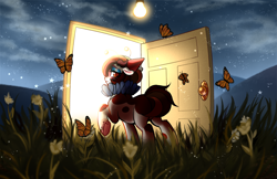 Size: 2236x1452 | Tagged: safe, artist:frowoppy, imported from derpibooru, oc, oc:illui, butterfly, earth pony, pony, door, female, lamp, mare, solo