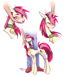 Size: 2790x3200 | Tagged: safe, artist:satan, imported from derpibooru, roseluck, earth pony, human, pony, behaving like a cat, collar, commission, commissioner:doom9454, concave belly, cute, eyes closed, height difference, human on pony petting, long legs, pet tag, petting, pony pet, rosabetes, rosepet, skinny, slim, thin