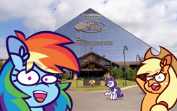 Size: 6120x3837 | Tagged: safe, artist:threetwotwo32232, imported from derpibooru, applejack, rainbow dash, rarity, earth pony, pegasus, pony, unicorn, bass pro shop, butt, cowboy hat, female, hat, horn, irl, mare, meme, photo, pointing, ponies in real life, soyjak, stetson, wojak