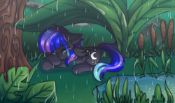 Size: 2500x1471 | Tagged: safe, artist:fluffywhirlpool, imported from derpibooru, oc, oc only, oc:rain fall, pegasus, pony, commission, eyes closed, female, folded wings, freckles, grass, lying down, mare, multicolored mane, multicolored tail, pegasus oc, pond, rain, reeds, sleeping, solo, tail, tree, water, wings, ych result