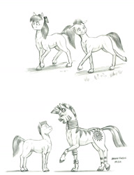 Size: 1100x1436 | Tagged: safe, artist:baron engel, imported from derpibooru, apple bloom, zecora, oc, oc:stone mane (baron engel), earth pony, pony, zebra, colored, female, filly, foal, mare, monochrome, nudity, pencil drawing, sheath, story included, traditional art